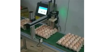 鴻碼創S8200配移動平臺噴印雞蛋案例